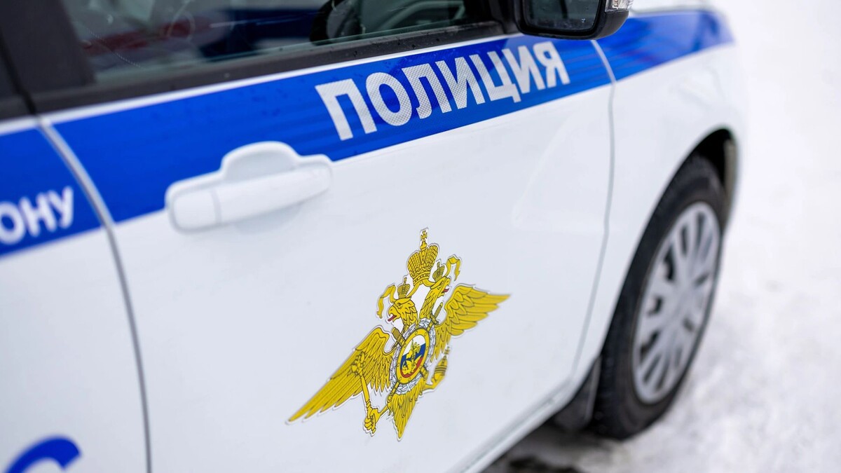    Фото: Юлия Чудинова / «Ямал-Медиа»