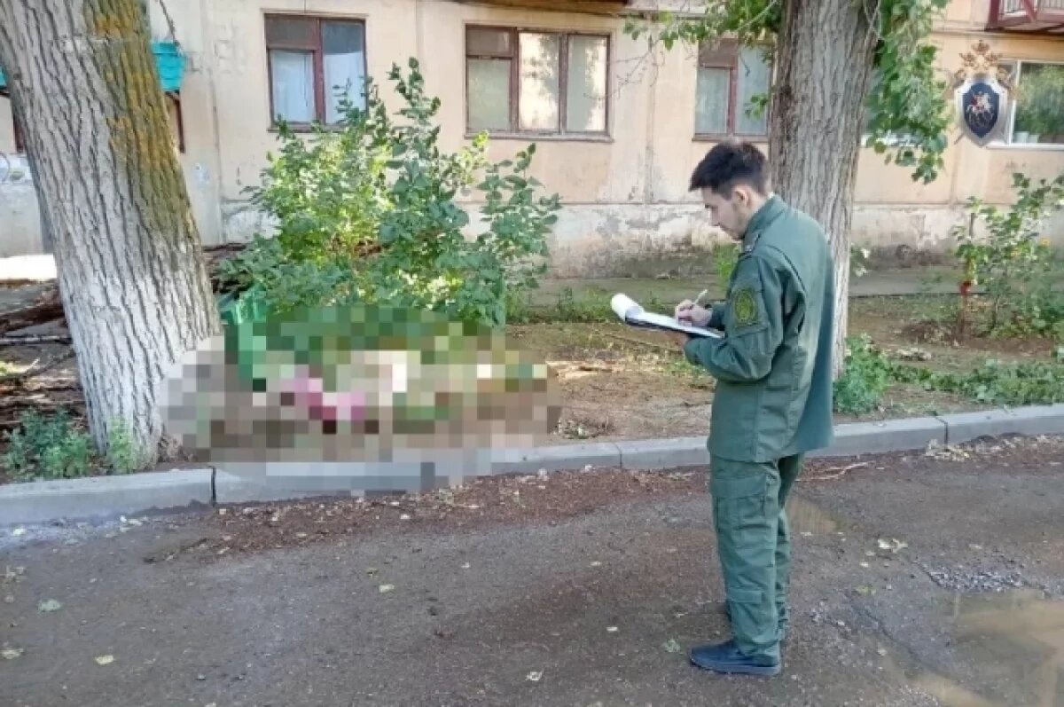    Директор УК пойдет под суд за гибель астраханки из-за упавшего дерева