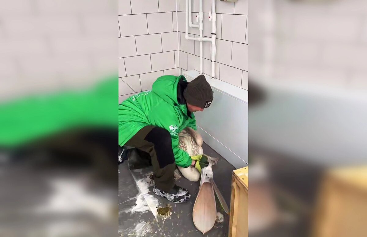    Фото: парк «Малинки»