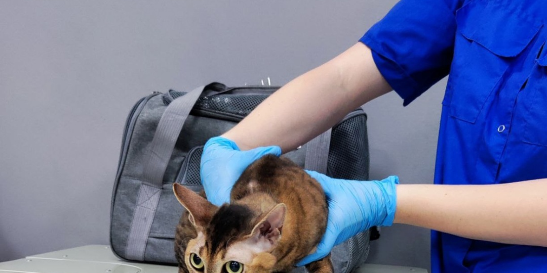 Рутина наших дней