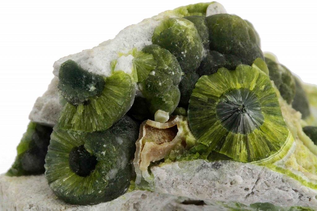 Фотография из интернета