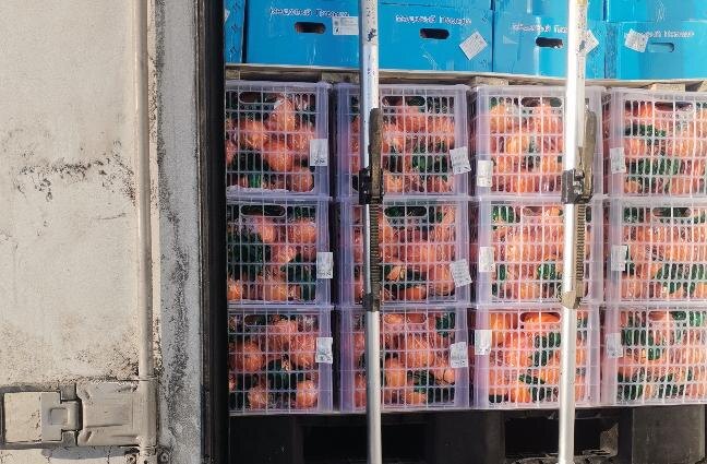 Фото пресс-службы Уральского межрегионального управления Россельхознадзора