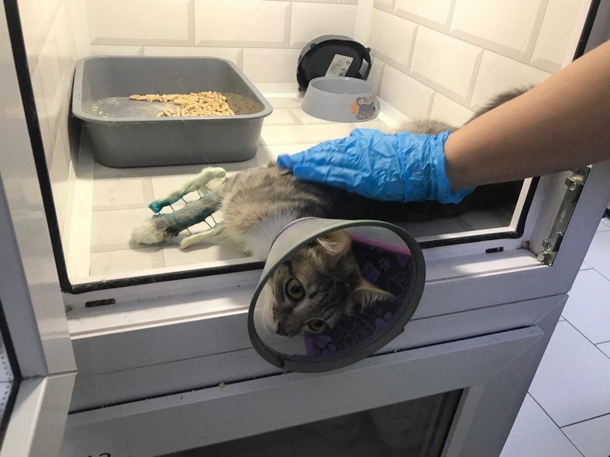 Нам пришлось буквально отвоёвывать её, чтобы сделать дорогую операцию и спасти.