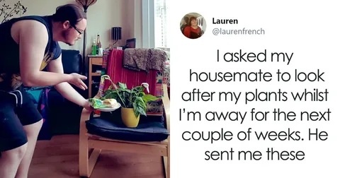 #phrasal_verb #фразовый_глагол #look_after 