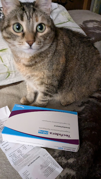 Моя Текфидера и кошка Туся (удивленно смотрит на меня и не понимает, зачем мне эта коробочка и что в ней такого ценного. Фото автора