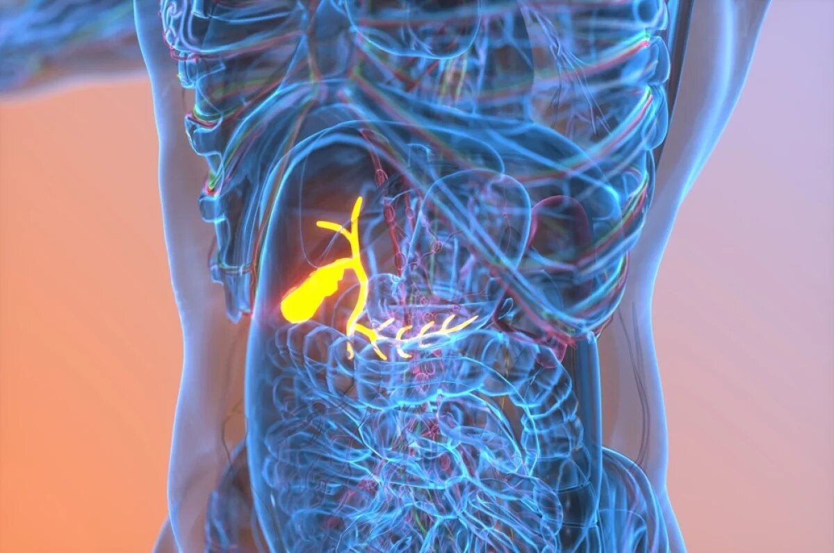    Нельзя сидеть на диетах и исключать жиры, ведь они стимулируют выброс желчи.