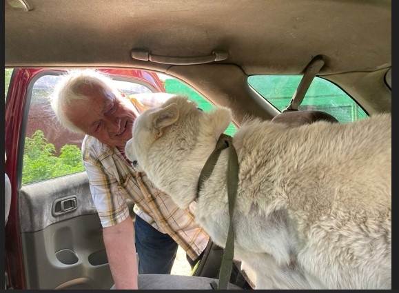 Приятно получать приветы.