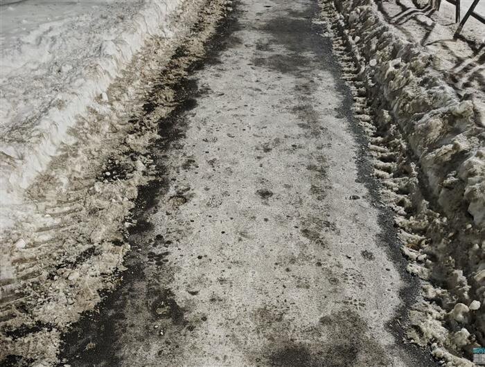    ФОТО: Ламзина Александра