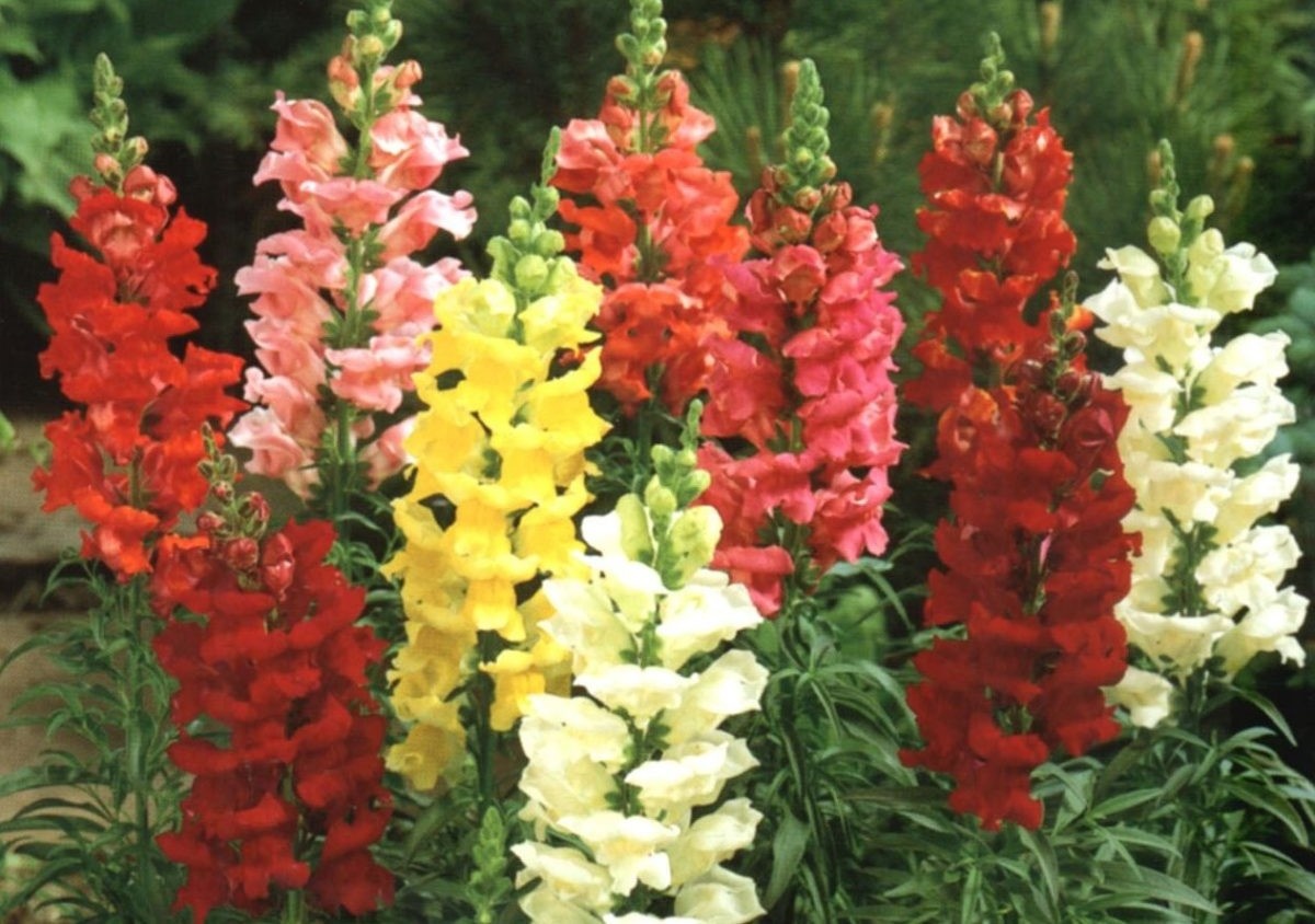 Фото 1, 2 из открытых источников