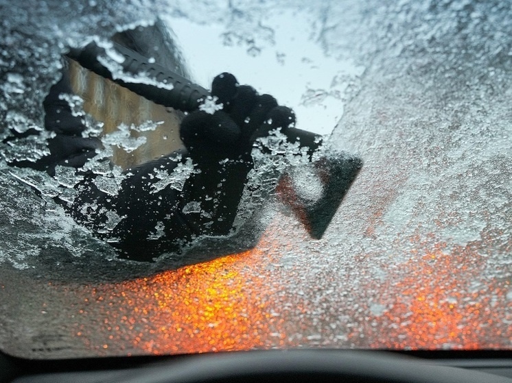     Фото: Soeren Stache/dpa/Global look press