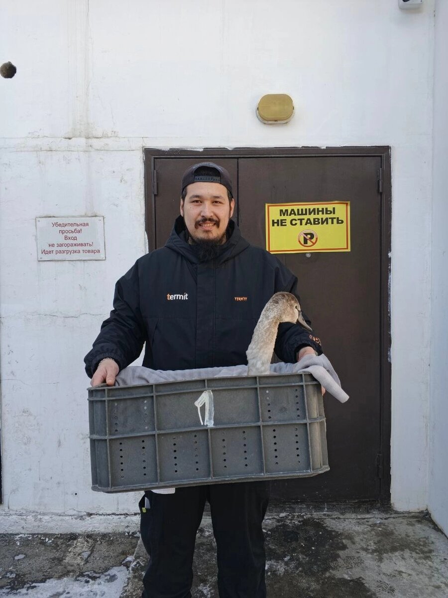    Фото: Крылья надежды — помощь птицам в Астрахани