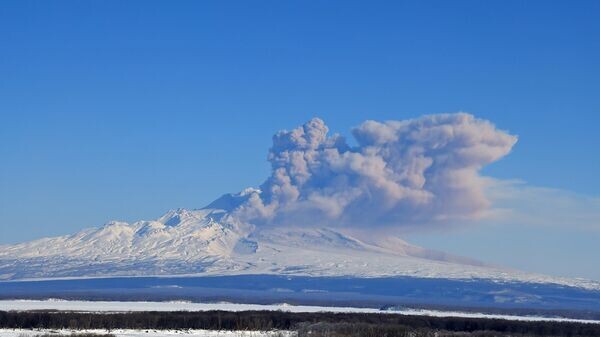   © Sputnik / Юрий Демянчук