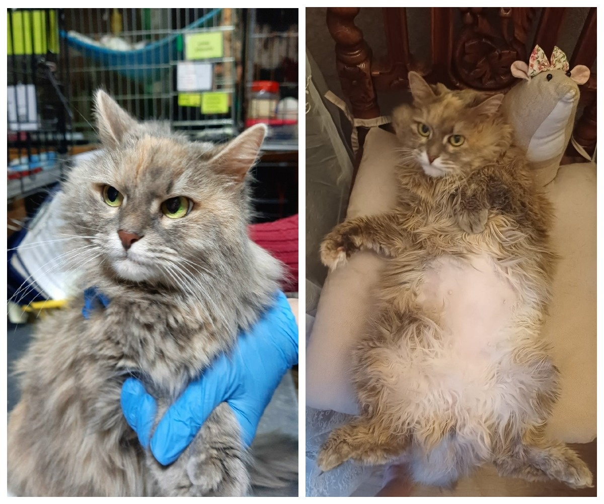 Фенестина – выпускница приюта.