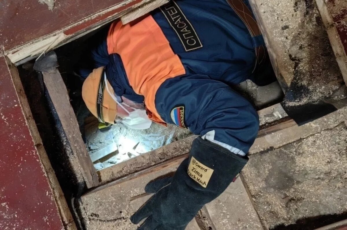    В Ленобласти спасли беременную собаку, застрявшую под полом дома