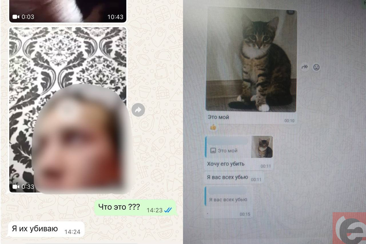    Фото: читатель "Прецедента"