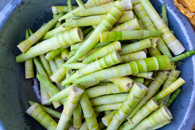 Побеги бамбука — наиболее распространенный способ использования его в пищу