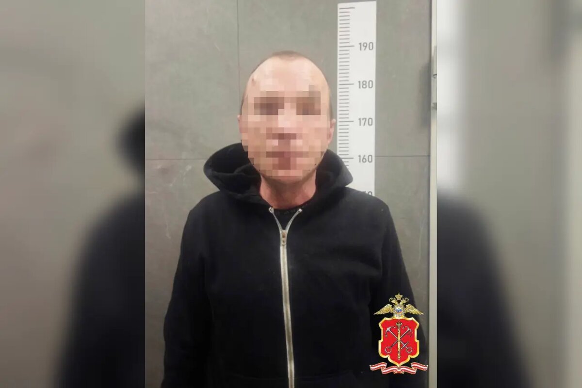    Фото: ГУ МВД по Петербургу и Ленобласти