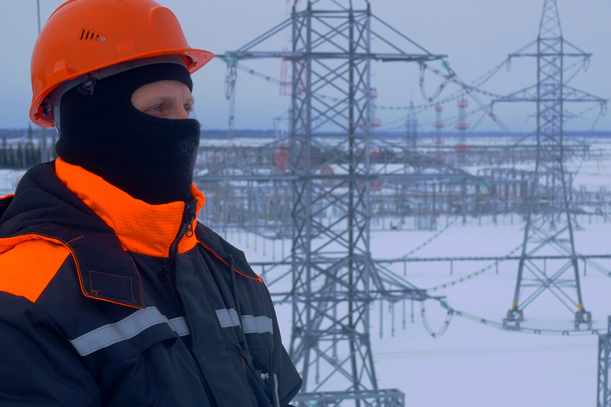    Фото: I.K.Media / Shutterstock.com