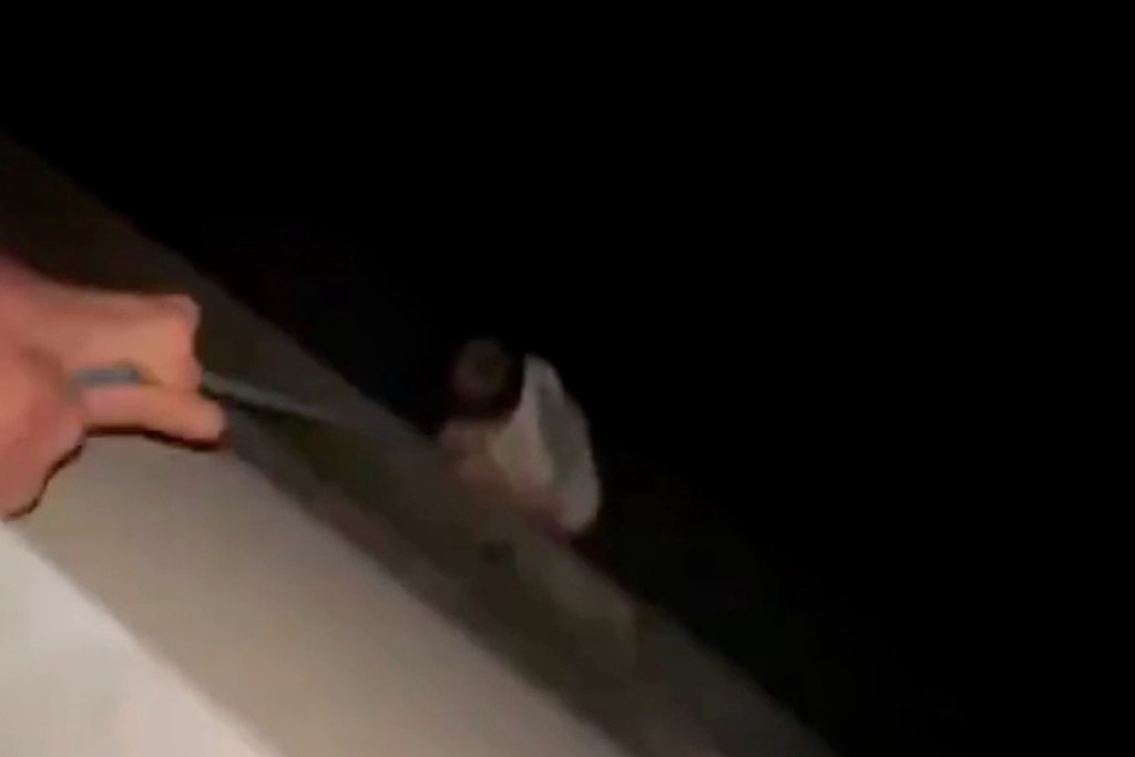    Фото © Telegram / ТВ Центр | ТВЦ