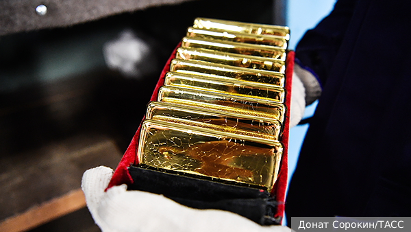     Фото: Донат Сорокин/ТАСС   
 Текст: Мария Иванова