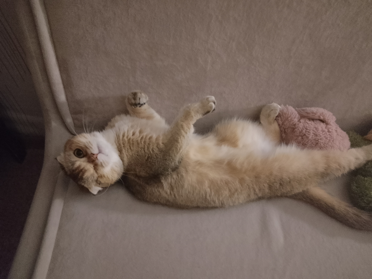 А чо сразу Тося, сама проспала, а Тося опять виновата? 