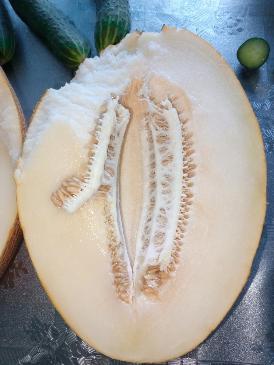 Фото автора Свободный поселенец, Занозонька