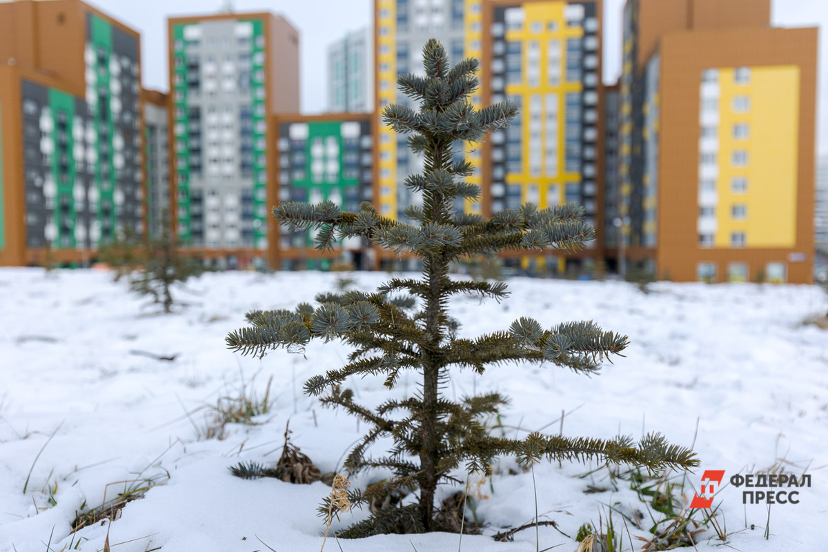 Вопрос рентабельности девелоперского бизнеса в российских регионах становится более острым.  Фото: ФедералПресс / Евгений Поторочин