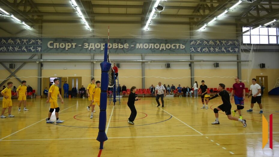    Автор фото: Елена Шелякина