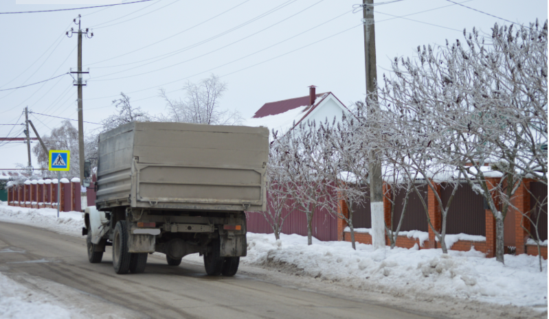 Фото автора. 27.01.2026. Станица.