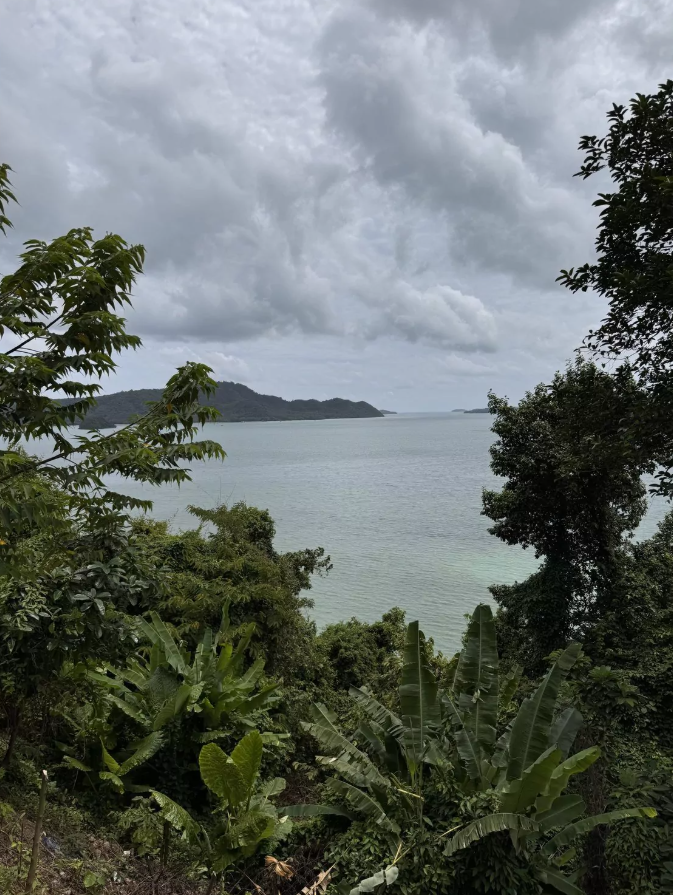 Фото с сайта https://phuket-insider.com/