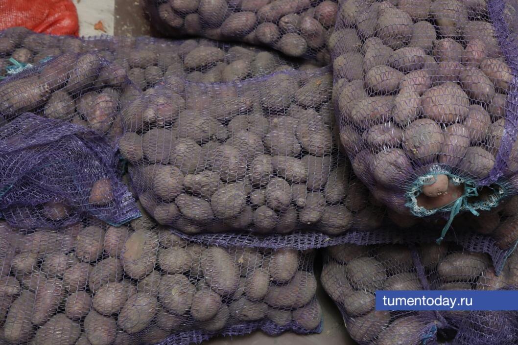  Фото Сергея Куликова