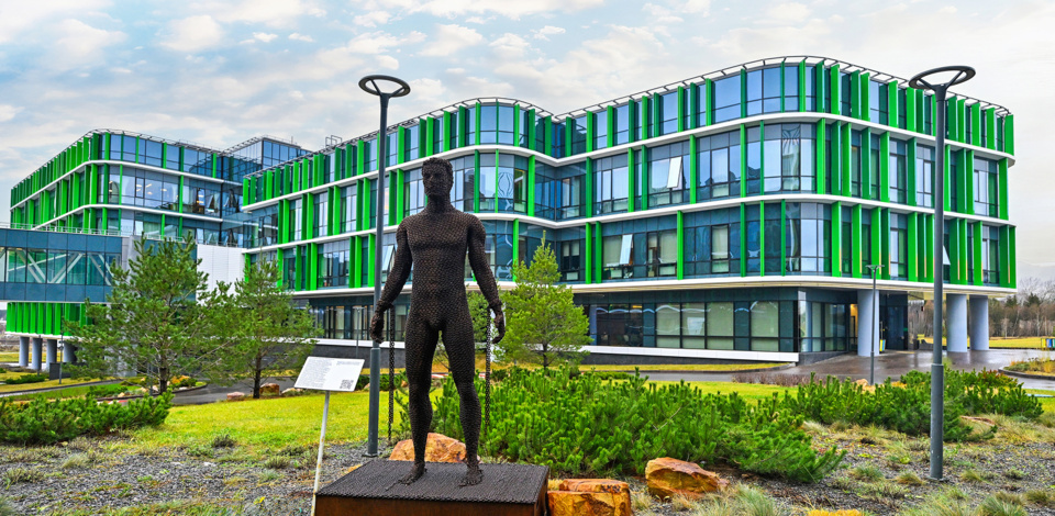     У центра хронических болезней в «Сколково» благоустроили более двух тысяч квадратных метров территории