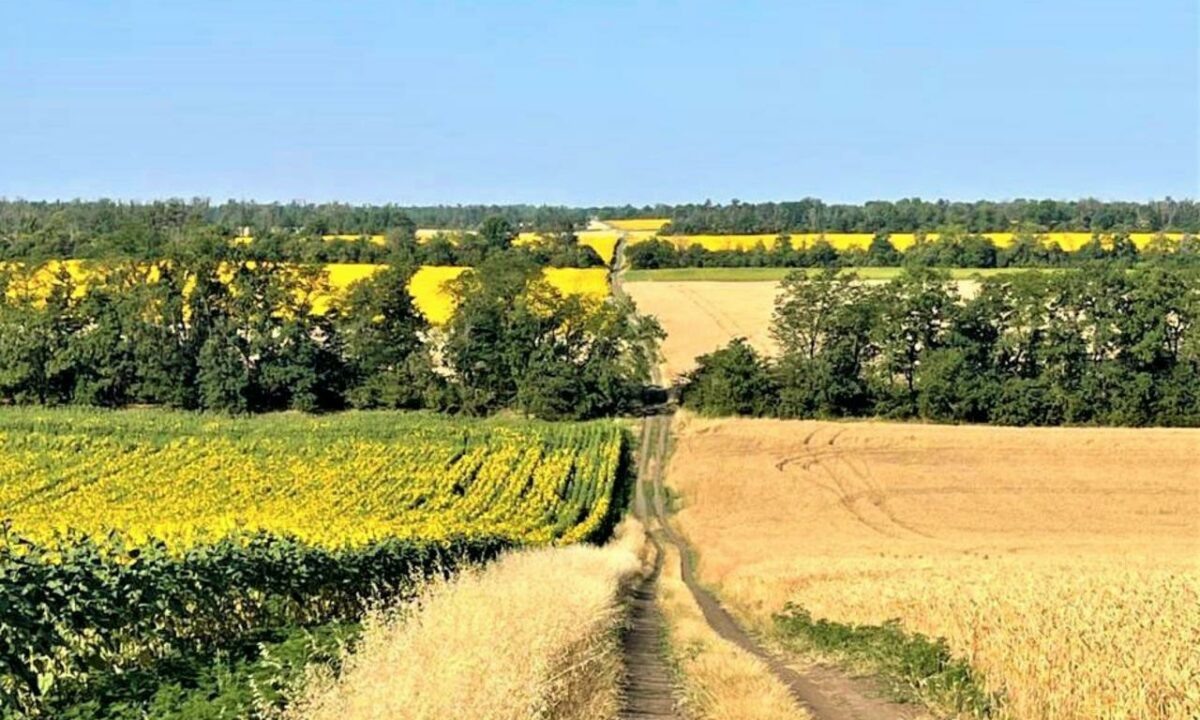    Фото пресс-службы администрации Краснодарского края