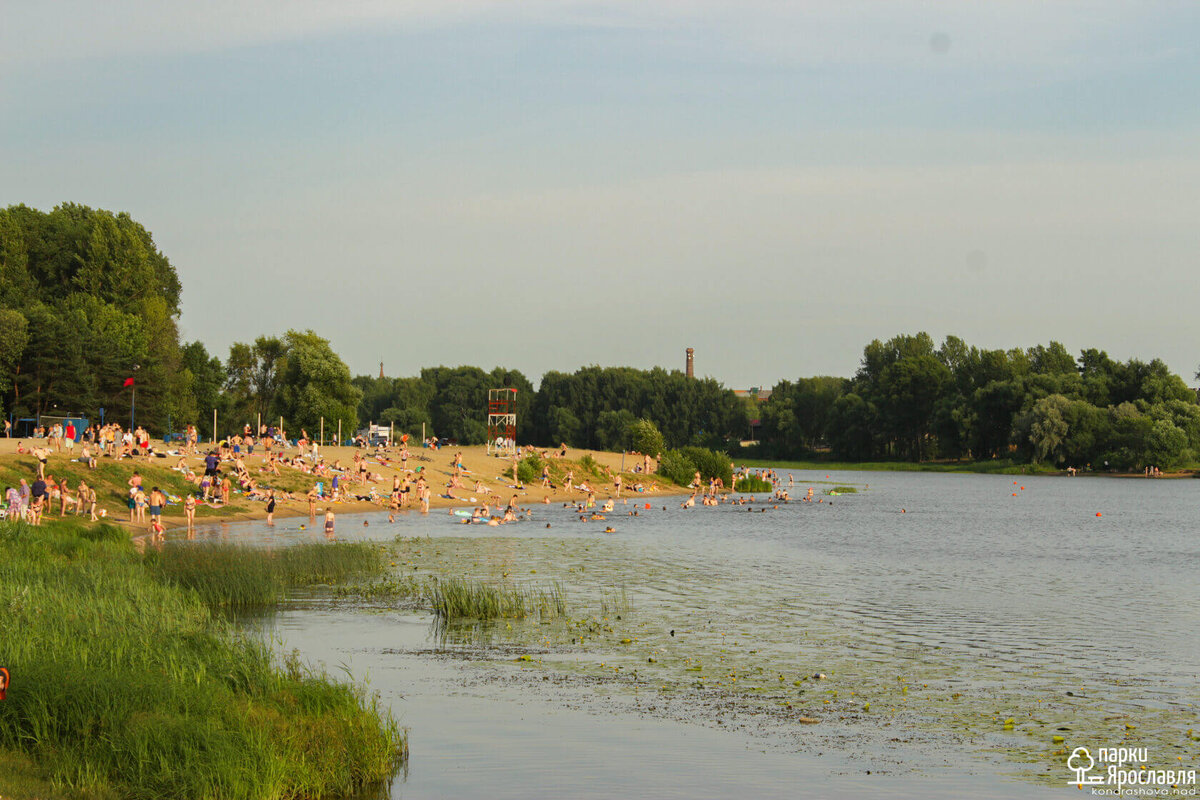 Парк «Подзеленье». Фото: МБУ «Дирекция городских парков культуры и отдыха» Ярославля