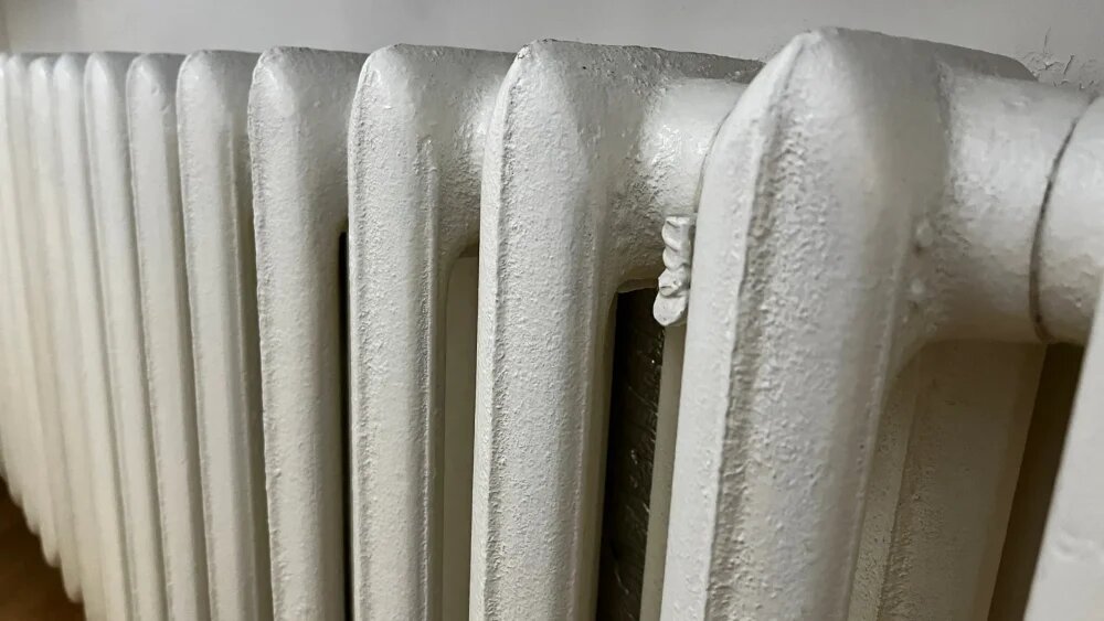    Фото: "Брянские новости"