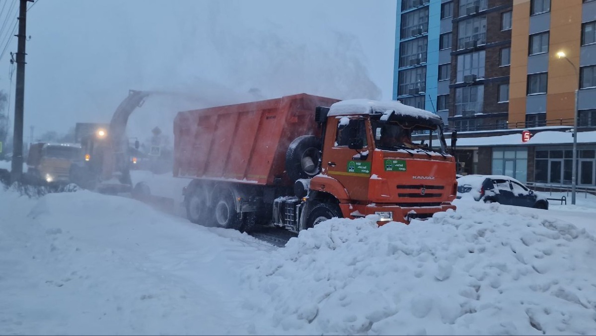    Фото: Анастасия Игнатова