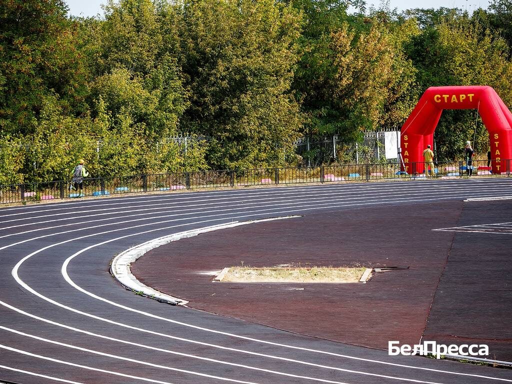     Фото: Павел Колядин (архив)