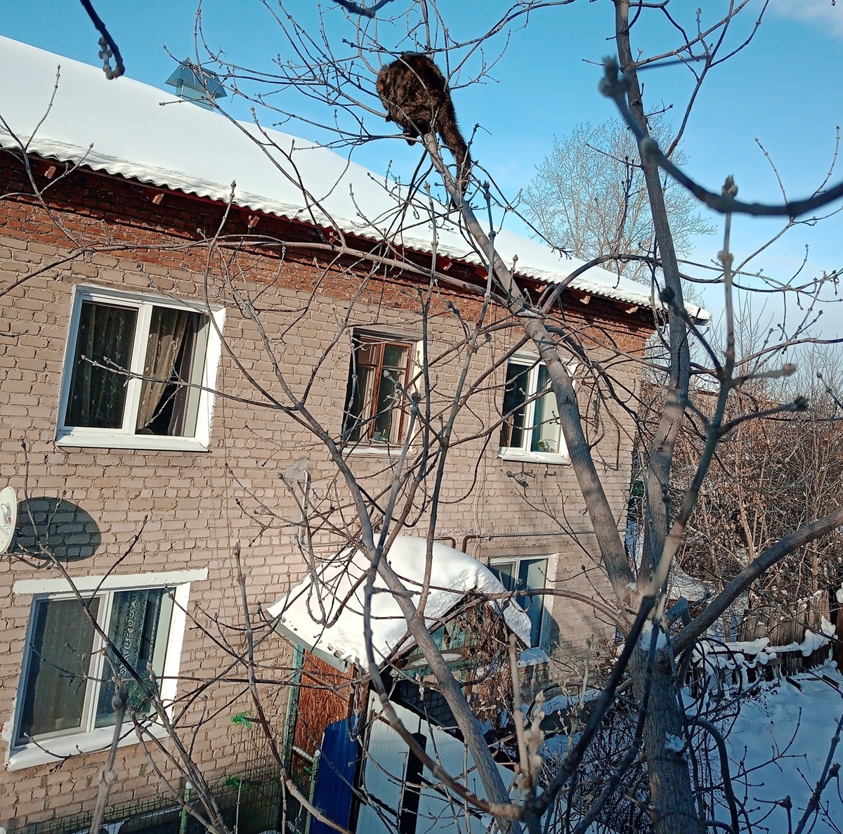 Фото: сообщество ВКонтакте «ЗооСпас в Екатеринбурге»  📷
