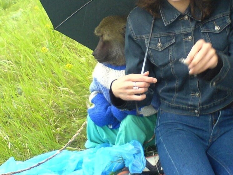     Фото: Сергей Климушев