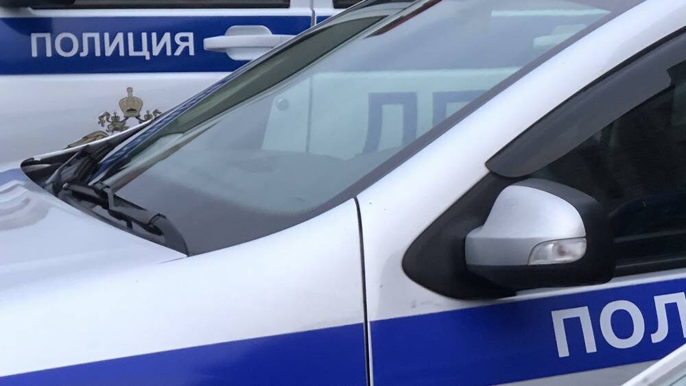     Фото: «Брянские новости»