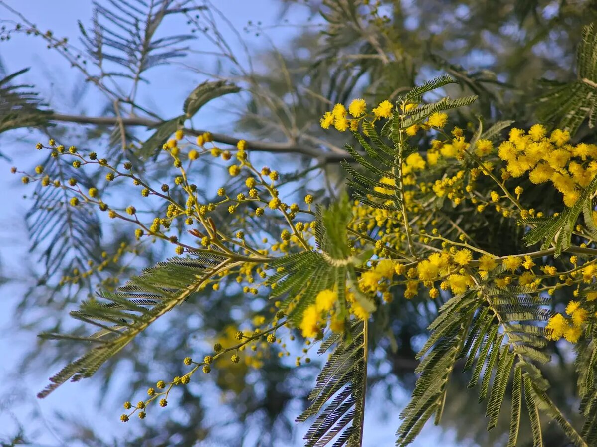     © Пресс-служба Сочинского национального парка. Святослав Дозморов