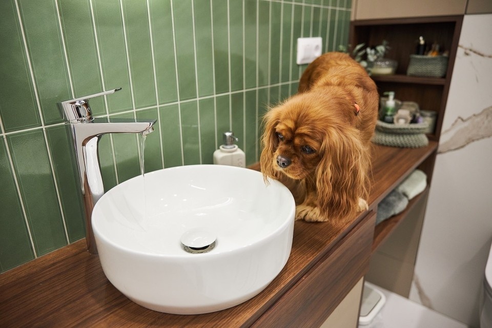    Отключение воды будет с 08:00 29 января до 08:00 30 января. Николай ОБЕРЕМЧЕНКО