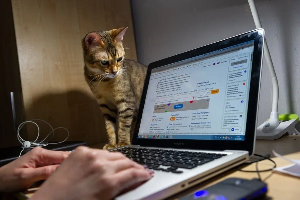    Чаще всего такие специалисты требовались в сферах маркетинга, рекламы и PR, информационных технологий. Олег ЗОЛОТО