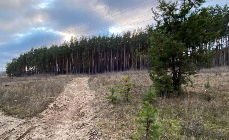    фото Курские известия