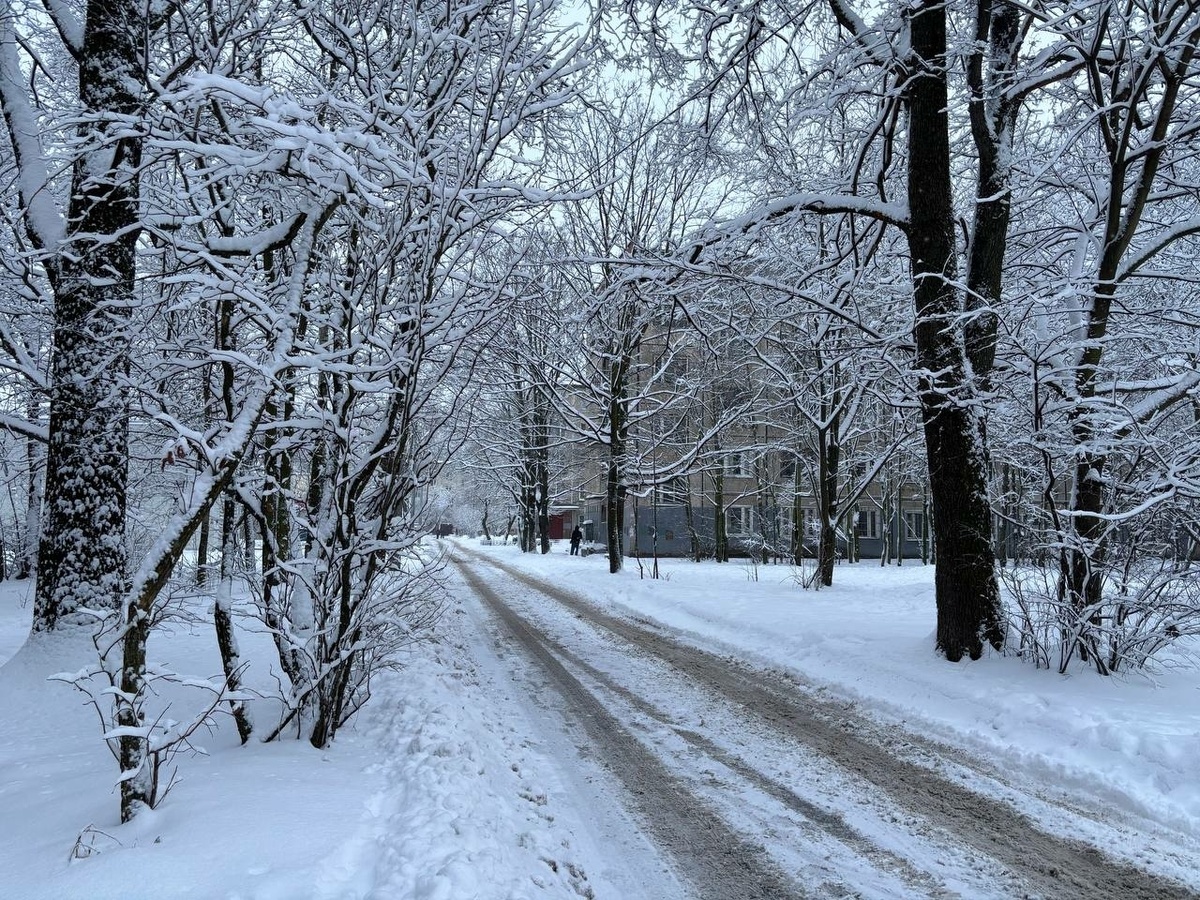 Фото: Neva.Today