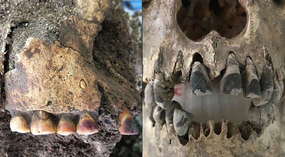   Yue Zhang et al. / Archaeological and Anthropological Sciences, 2026