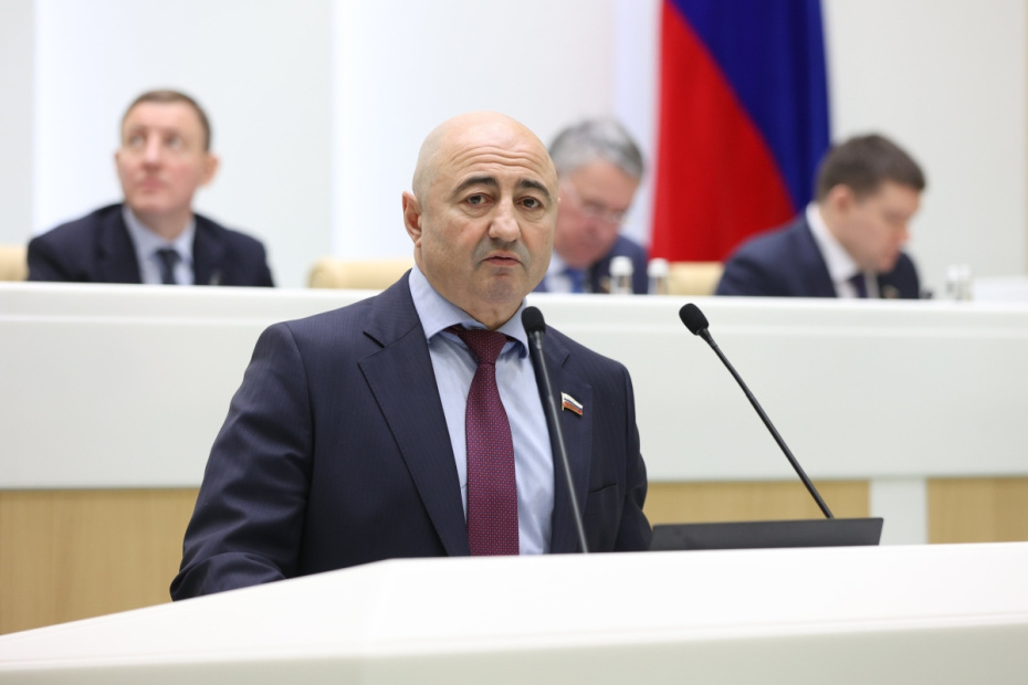    Совет Федерации РФ/РИА Новости