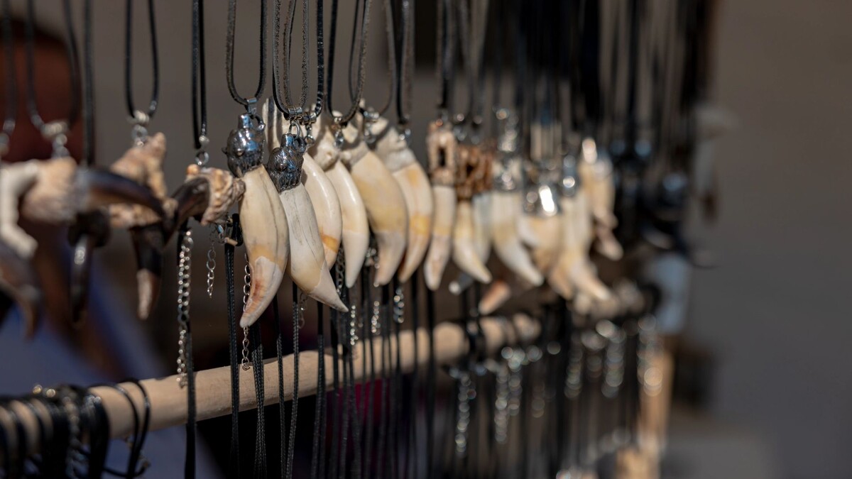    Фото: Сергей Зубков / «Ямал-Медиа»