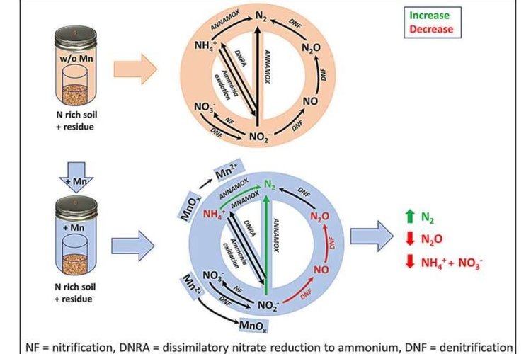    Фото: University of Connecticut