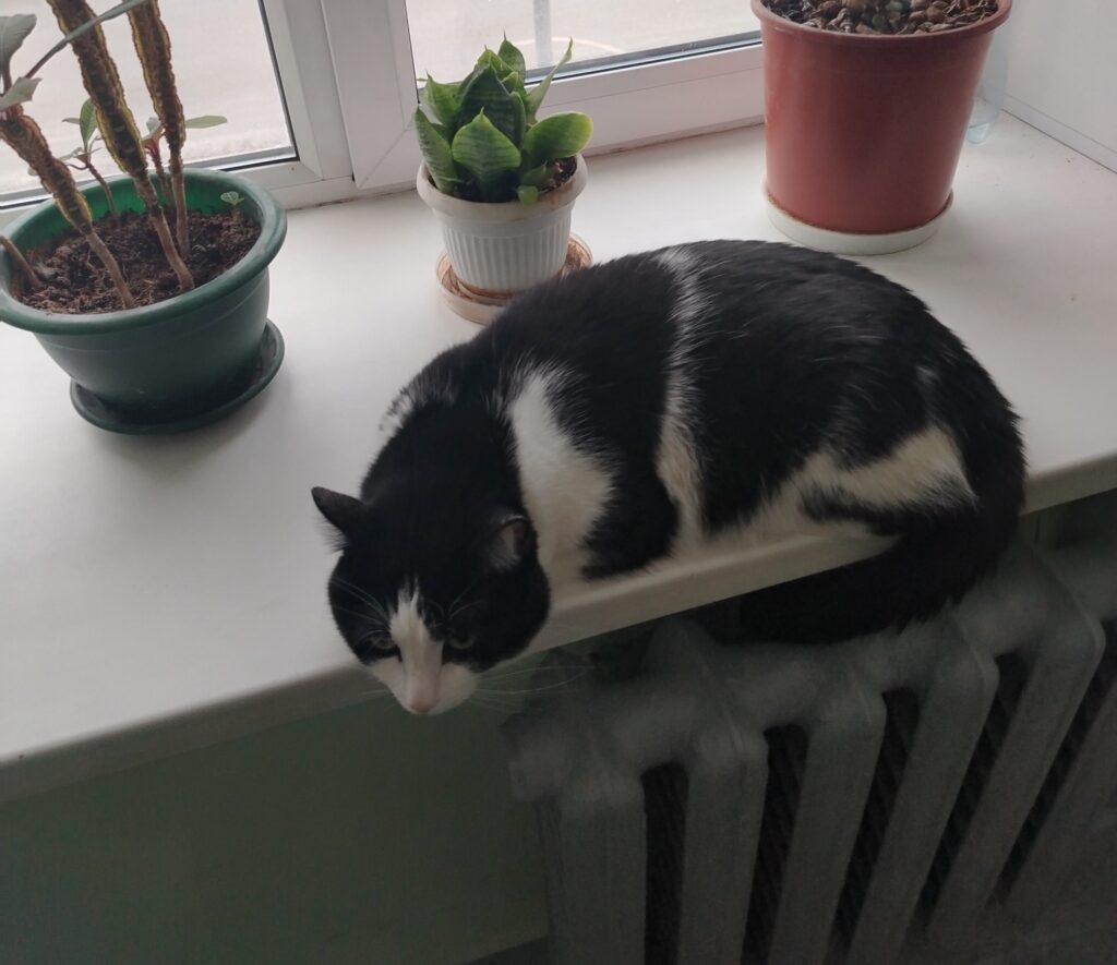    Фото: v-kurse.ru Ольга Гилёва